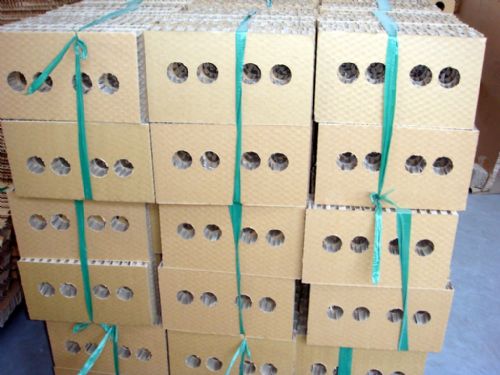 1563242791135644.jpg 2017325131124242.jpg